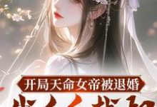 已完结小说《开局天命女帝被退婚,我反手截胡》在线章节阅读-有书评