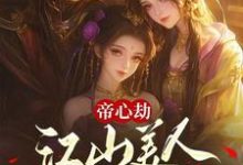 小说《帝心劫:江山美人两不负》完整版章节免费阅读-有书评