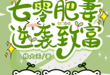 军婚一胎三宝?七零肥妻逆袭致富小说的无弹窗阅读体验,寻找免费阅读网站-有书评