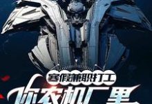 寒假兼职打工，你农机厂里开出空天航母？季成小说免费阅读-有书评