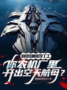 寒假兼职打工，你农机厂里开出空天航母？季成小说免费阅读
