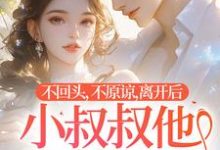 哪里能找到不回头,不原谅,离开后小叔叔他后悔了小说的全部章节?-有书评