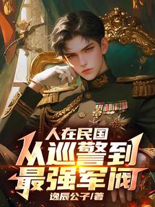 人在民国，从巡警到最强军阀章节免费在线阅读，林宇完结版