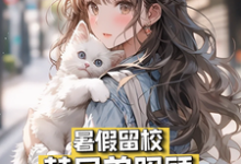 暑假留校，替兄弟照顾绝美女友这本小说在哪里可以看？哪里有免费试读章节？-有书评