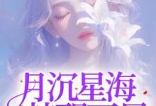 月沉星海，梦醒不见小说完结版章节免费阅读-有书评