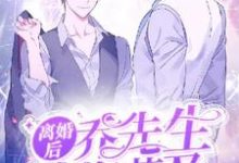小说完整版《离婚后乔先生追悔莫及》免费阅读-有书评