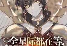 沈辞小说在线章节免费阅读(全星际都在等小可爱登基无弹窗无删减)-有书评