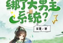 我，修仙虐文女主，绑了大男主系统？小说最新章节在哪里可以读到？-有书评