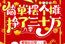 简单摆个摊,挣了三十万【九零】免费阅读,简单摆个摊,挣了三十万【九零】章节目录-有书评
