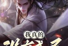 小说完整版《我真的没有成圣》免费阅读-有书评