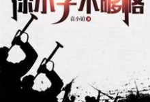 抗战：跟咱比资历？你小子不够格袁斌在线章节免费阅读-有书评