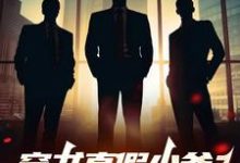 叶战叶傲天小说免费阅读完整版-有书评