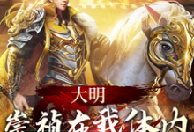 求大明:崇祯在我体内,中兴大明小说免费资源-有书评