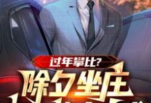 哪里能找到过年攀比?除夕坐庄初一连夜离乡小说的最新更新和免费章节?-有书评