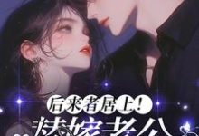 已完结小说《后来者居上!替嫁老公他又争又抢》在线章节阅读-有书评