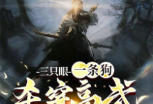 完整版小说《三只眼，一条狗，杀穿高武不回头》免费阅读-有书评