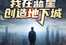 林易小说《震惊!我在蓝星创造地下城》在线阅读-有书评