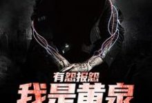 云渺小说完整版《有怨报怨，我是黄泉摆渡人》免费阅读-有书评