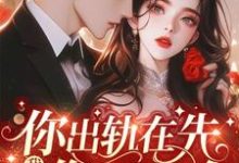 你出轨在先,我离婚你哭什么小说的无弹窗阅读体验,寻找免费阅读网站-有书评