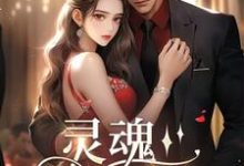 完结版《灵魂挚友》章节阅读-有书评