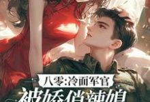 完整版的八零:冷面军官被娇俏辣媳狠狠拿捏小说在哪里可以免费读到?-有书评