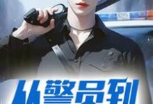 完整版《从警员到封疆大吏》小说免费阅读-有书评