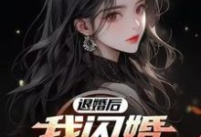 《退婚后，我闪婚绝色女总裁》小说免费阅读完整版-有书评