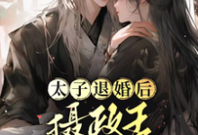 《太子退婚后,摄政王他坐不住了》小说慕黎陆砚宸章节章节免费在线阅读-有书评