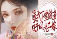 《逼我下堂做妾？反手风光二嫁！》小说章节列表免费试读，安绫雪小说在线阅读-有书评