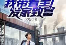 重回九零下岗潮，我带着全厂发家致富小说最新章节在哪里可以读到？-有书评
