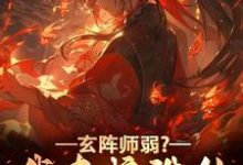《玄阵师弱?我直接诛仙给你看》完整版小说免费阅读-有书评