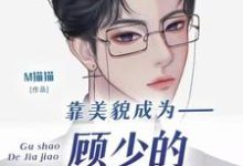 靠美貌成为顾少的私人家教后小说的免费电子版在哪里可以下载或阅读?-有书评