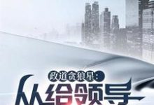 《政道贪狼星：从给领导平反开始》完整版小说免费阅读-有书评