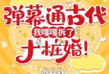 弹幕通古代，我嘎嘎拆了十桩婚！完整版小说，弹幕通古代，我嘎嘎拆了十桩婚！免费阅读-有书评