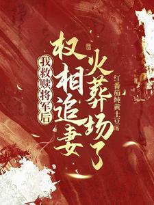 寻找能够免费阅读我救赎将军后，权相追妻火葬场了小说的平台