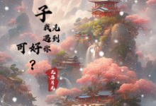 下辈子,我先遇到你,可好?这本小说怎么样?免费在线阅读试试-有书评