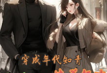 完结版《穿成年代知青,奋斗不如恃美行凶》免费阅读-有书评