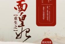 林雨曦小说免费阅读完整版-有书评
