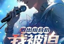 完整版小说《退出组合后,我被迫成为顶流!》免费阅读-有书评