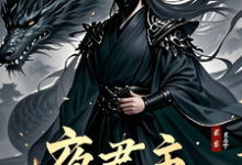 夜君主免费阅读，夜君主章节目录-有书评