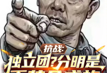 《抗战：独立团？分明是重装合成旅》小说大结局免费试读 李成虎李云龙小说-有书评