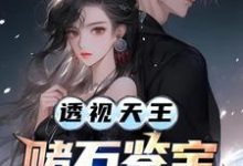 李秋阳艾晴柔小说完整版《透视天王:赌石鉴宝财色无双》免费阅读-有书评