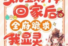 滚宝小说奶宝财神回家后,全府跪求我显灵完整版阅读-有书评
