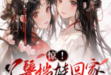求惊！丫鬟揣娃回家，走出康庄大道小说免费资源-有书评
