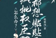 怎么办?疯批权臣每天都想贴贴我顾轻舟宋夔在线章节免费阅读-有书评