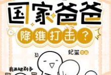 小说完整版《潜规则,你让国家爸爸降维打击?》免费阅读-有书评