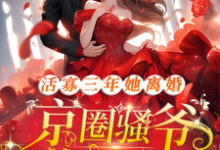活寡三年她离婚,京圈骚爷悔红眼小说全文阅读需要付费吗?寻找免费资源-有书评