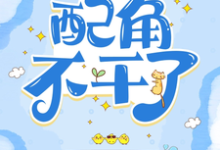 宋翊寒小说《快穿：配角不干了》在线阅读-有书评