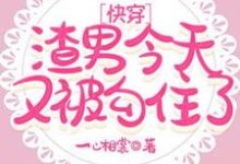 快穿：渣男今天又被勾住了免费阅读，快穿：渣男今天又被勾住了章节目录-有书评