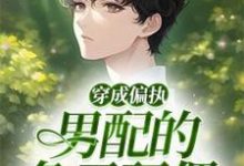 完整版小说《穿成偏执男配的兔子玩偶》免费阅读-有书评